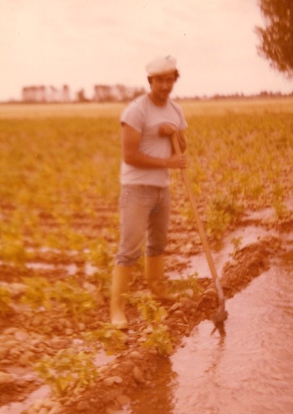 Regando habas (1980), haciendo producir un pedregal... ��y lo consegu�a!!